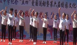 阳光总在风雨后舞蹈